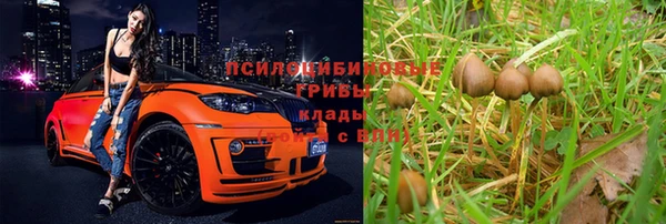 мескалин Арсеньев
