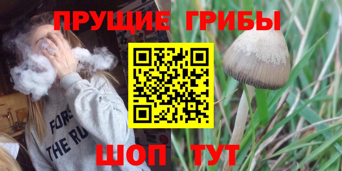 Муравленко  Галлюциногенные грибы ЛСД  Вход с VPN 
